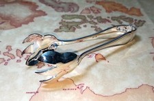 Molla / Pinza Ghiaccio